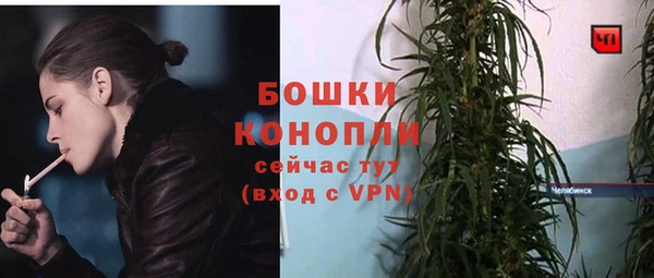 амф Богданович
