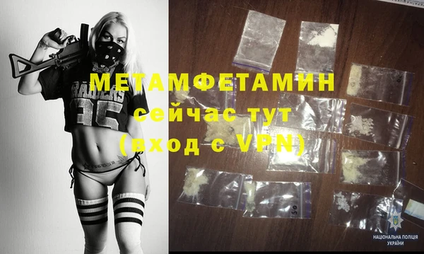 прущие грибы Богородицк