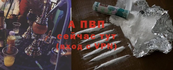 амф Богданович
