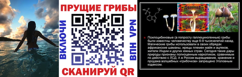 Псилоцибиновые грибы мицелий Невель